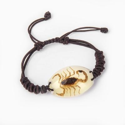 China Unique Souvenir Scorpion Children Jewelry Real Insect Specimen Attractive Bracelet Jewelry for sale