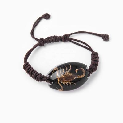 China Fresh Personalized Keepsake Insect Scorpion Specimen Resin Bracelet Jewelry Real for sale