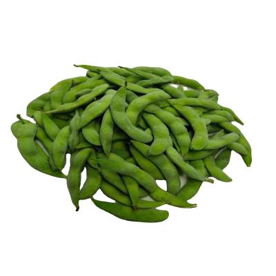 China FROZEN Edamame BQF Vegetables High Value Frozen Bulk Product, Natural Food, Health for sale