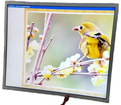 China AUO Original 17 inch LCD lcd display panel TFT module for sale