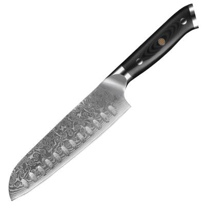 China Sustainable Sharp Knives And Kitchen Accessories Kitchen Slicing Cleaver Damascus Knife for sale