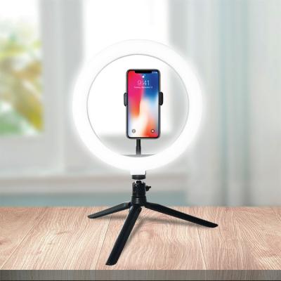 China Live Studio Fill Light LED Ring Light 10 Inch 26cm Desk Additional Lamp With Tripod Stand for sale