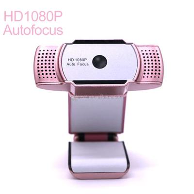 China Plastic+rubber+aluminum AN810 Digital 1080P usb webcam for Android mini PC webcam for sale