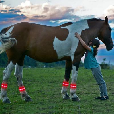 China Polyester Webbing Pet Supplier Novelty Horse LED Products Flashing Light Horse Equipment Horse Leg Bands for sale