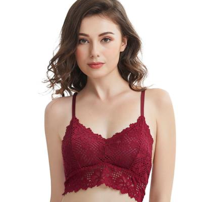 China Wholesales Young Women's Sexy Underwear QUICK DRY Polyamide Transparent Soft Lace Bra for sale