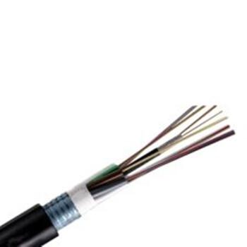 China Telecom Power Plant Loose Direct Burial Single Mode Armored Outdoor Fiber Optic Cable GYTY53 for Long Distance Communication for sale