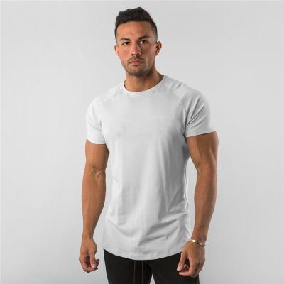 China Custom QUICK DRY T-shirts Printing Logo Running Breathable 95% Cotton 5% Spandex Sports Gym T Shirt For Men for sale