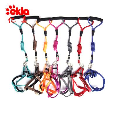 China Viable Factory Wholesale Dog Rope Leash , Thoughtful Dog Harness for sale