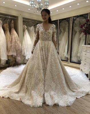 China Long Sleeve Chapel Train Lace Wedding Dress Breathable Wedding Dress Plus Size For Bride for sale