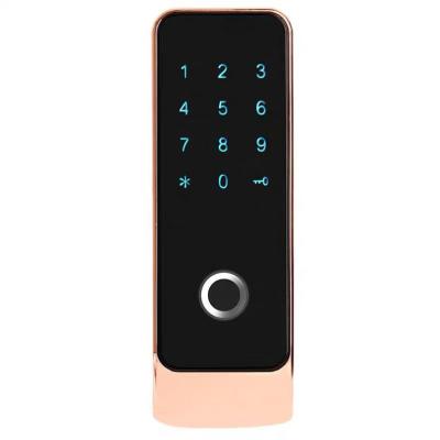 China Modern Fingerprint Lock Cabinet Factory Supplying Keyless Biometric Fingerprint Cabinet Password Lock FP161 for sale