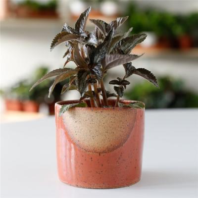 China Unique Home Design Ceramic Plant Pot Modern Frosted Outdoor Garden Decoration Ppts For Succulent Plants for sale