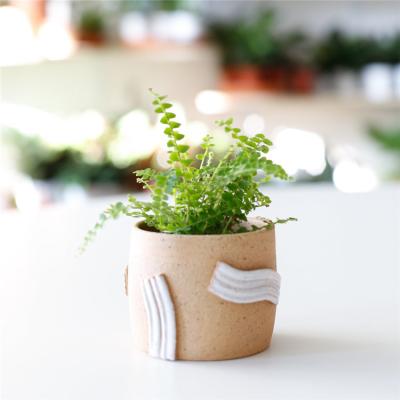 China Small Cactus Flower Plant Stand Desktop Pots Succulents Planters Modern Decorative Modern Ceramic Garden Decoration for sale