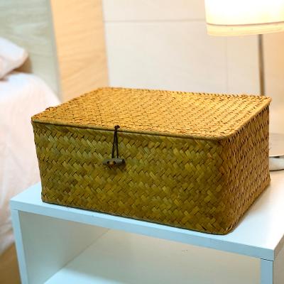 China Wholesale Custom Viable Size Quality Decoration Plant Plankton Home Daily Storage Woven Box With Lid Basket for sale