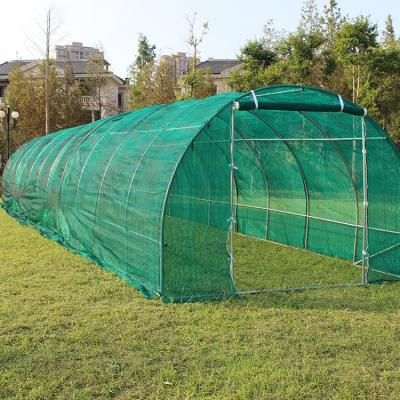 China TLSP163 new type solar all mushroom 1200cm(L) x300cm(W)x200cm(H) size polytunnel greenhouse-36m2 farm for sale