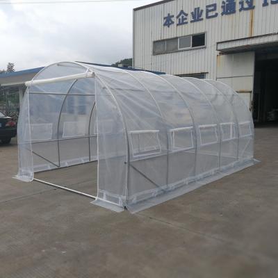 China TLSP171 10 roll-up windows with screens and one roll-up zippered door polycarbonate transparent sheet polytunnel greenhouse for sale