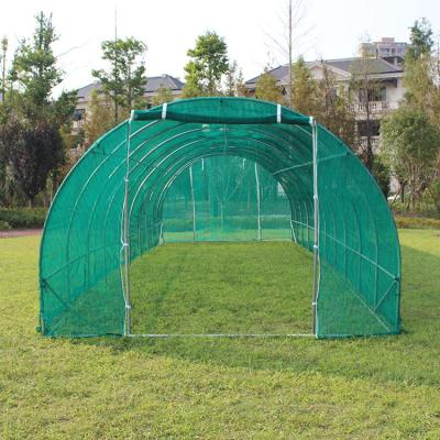 China TLSP162 steel tube and galvanised for surface Frame Material home serre agriculture polytunnel greenhouse-30m2 for sale