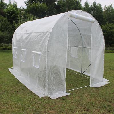 China TLSP166 best new large tunnel shape 300cm(L) x200cm(W)x200cm(H) size garden polytunnel greenhouse-6m2 for sale