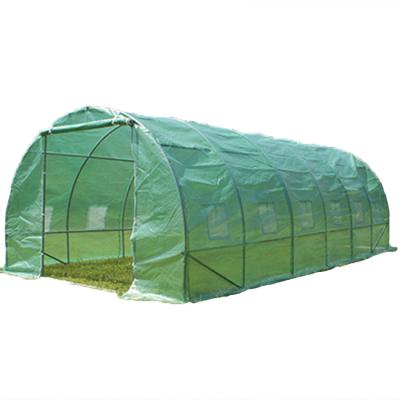 China TLSP180 tunnel shape UV protected polytunnel polycarbonate greenhouse kit hidroponic tomatoes for sale