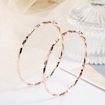 China Fashion Trend Lead Free Nickel Free Stainless Steel Circle Twisted Earrings Wave Loop Dangle Large Geometric Hoop Earrings Circle Earrings For Women for sale