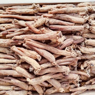 China Hot Selling Organic Red Ginseng Ginseng Extract Pure Dry Organic Powder BG225 Health Food Organic Red Ginseng Strips for sale