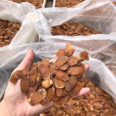 China Ready To Ship Factory Photo Hotest Ginseng Root Gisenosides Panax Ginseng High Dry Ginseng Extract Powder For Tea RGS113 for sale