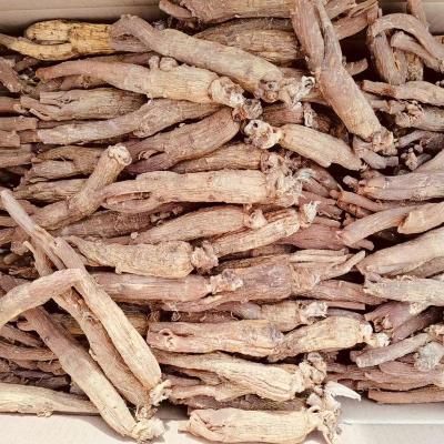 China Ready to ship factory supply genuine ginseng root extract high quality red ginseng extract wholesale red ginseng BG232 for sale