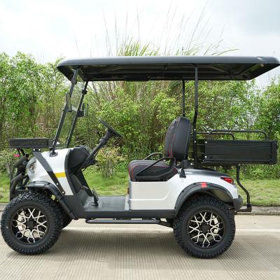 China Electric Off Road Truck Low Speed ​​Steering Wheel Car Golf Cart 2 Seat Chasing Lithium Vehicle for sale