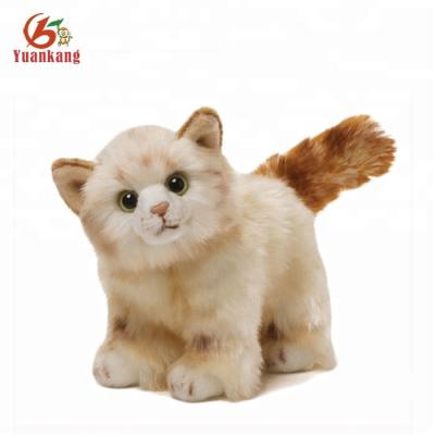 China Wholesale plush animal toys cat plush factory china high quality order for sale