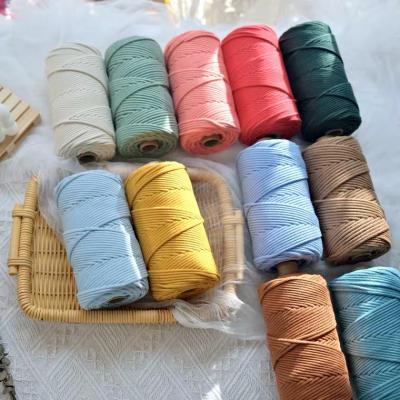 China Sustainable Ropemate 3mm Braided Hollowed Out Cotton Macrame Colorful Rope Premium Rope Over 32 Colors For Handmade Project for sale