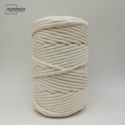 China Sustainable 3mm 4mm 5mm Single Strand Premium Natural White Macrame 6mm Tie 1 Ply Cotton Rope 100 Meters Per Roll for sale