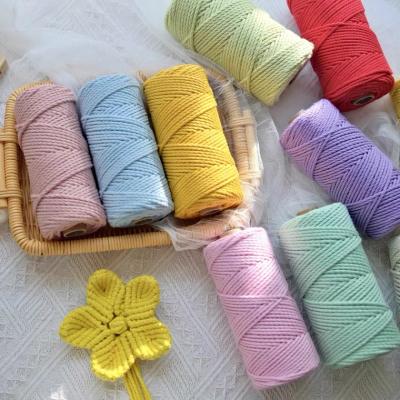 China Premium 3mm Sustainable 100% Twisted Cotton Rope 3 COLORS Strands 41 Macrame Rope For Macrame Kit for sale