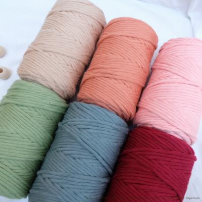 China Sustainable Ropemate 5mm 100m Single Strand Colorful Macrame 1Ply Cotton Rope Premium Soft Cotton Rope forCraft Craftsman Project for sale