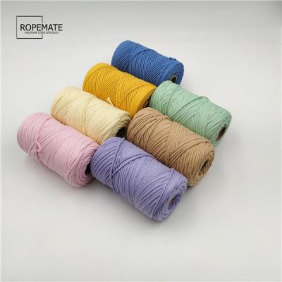 China Twisted Cotton Rope 2mm 3 Strands Colorful DIY Hand Knitting Macrame Rope Twisted Cotton Rope for sale