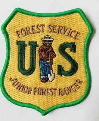 China Fashion quality factory made embroidered patch amy patch military label for sale