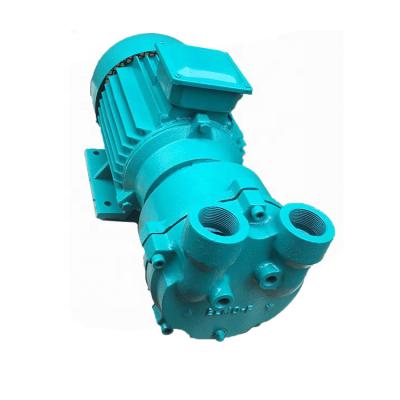 China Biofuel Industry Electric Water Ring Vacuum Pump for sale