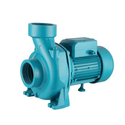 China Family Homes 2 Inch High Pressure Centrifugal Water Pump With Head for sale