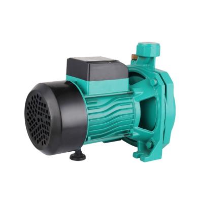 China Family Houses Horizontal Cnp Centrifugal Pump With Impeller for sale