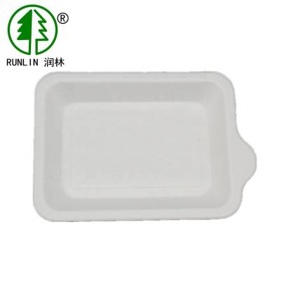 China Disposable Rectangular Shape Dish Birthday Party Tray for sale