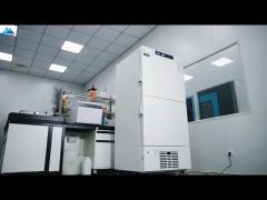 Double Independent Chambers Upright Medical Deep Vaccine Freezer Minus 25 Degree
