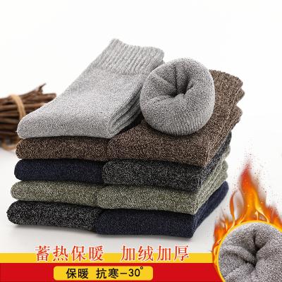 China Antibacterial Socks Men Winter Plus Thick Warm Velvet Terry Socks In Tube And Line Towel Cotton Socks for sale