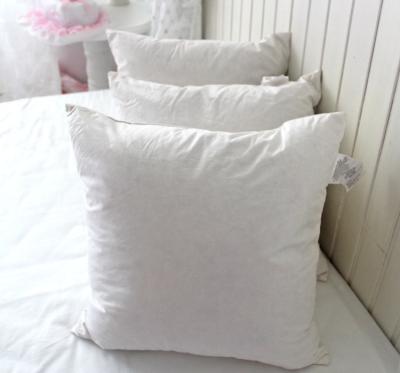 China Cotton Wholesale Washable Duck Feather Cushion Inserts for Decorative Sofa Cushions for sale