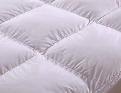 China Eco-Friendly Cotton Plain Soft Bedding Fabric Home Textile Fabric 40*40 133*100 for sale