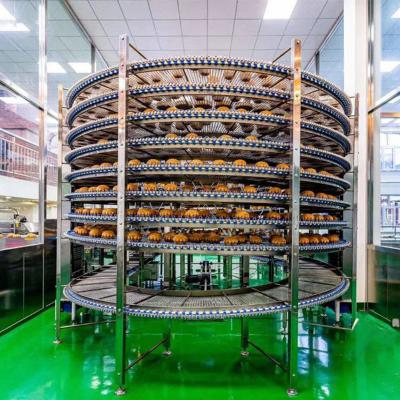 中国 Mutil Layer Bread Sus304 Spiral Cooling Conveyor 販売のため