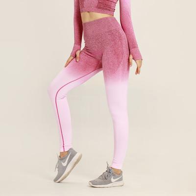 China Antibacterial Shiny Print Stretch Seamless GYM Sport Fitness Leggings for sale