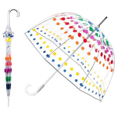 China Modern Birdcage Umbrella Design With Printing Transparent Apollo Semi-automatic Long Handle City Umbrella for sale