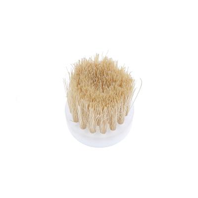 China Durable.Wear-resistant Size Customization Plastic Brush Dish Acceptable Manufacturing Brush Nylon for sale