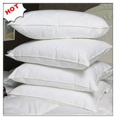 China White Duck Down High Quality Down Pillow for sale