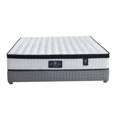 China Best Selling Economic Individual Mattress Antibacterial Home Furniture For Hotel/Bedroom/Apartment Soft Acceptable 15~20years Customized for sale