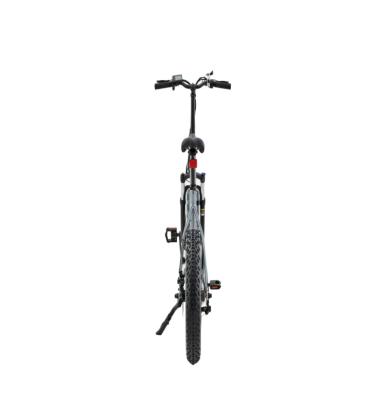 China Best Quality Electric Hot Sale 48V Aluminum Alloy Popular Buy Bike E Bike for sale