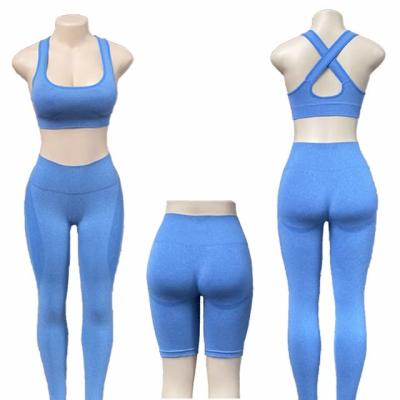 China Popular Seamless Ladies Sports Suit for sale